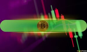 Meme Coins on Fire as Bitcoin Price Flirts With $116K: Weekend Watch