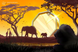 South Africans Can Now Pay With Crypto at 650,000 Stores