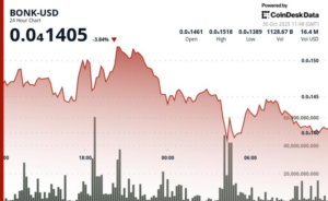 BONK Price Steadies Above Support With 71% Volume Spike Amid Market Weakness