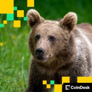 Michael Saylor’s MSTR Holds Onto Premium Amid Waning Sentiment. Can Others Do the Same?