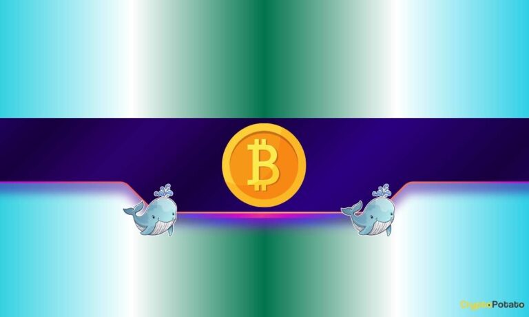 Will Bitcoin Pump or Dump?