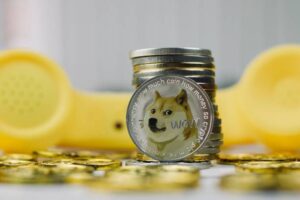 Dogecoin Price Macro Target Remains Above $2, And The Market Crash Hasn’t Changed It
