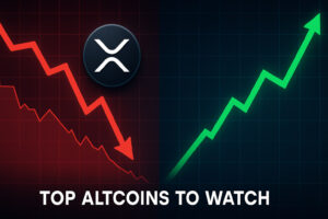 Best Altcoins to Buy as XRP Liquidations Scare Traders