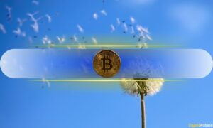 Bitcoin (BTC) Crash Is ‘Breezy’ Compared to 2022 Carnage, Claims Dragonfly’s Qureshi