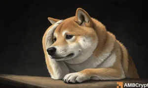 Dogecoin – Here’s why another 20% price correction may be next