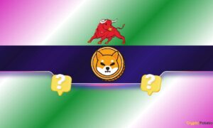 Can This Shiba Inu Integration Reignite the SHIB Army’s Interest?